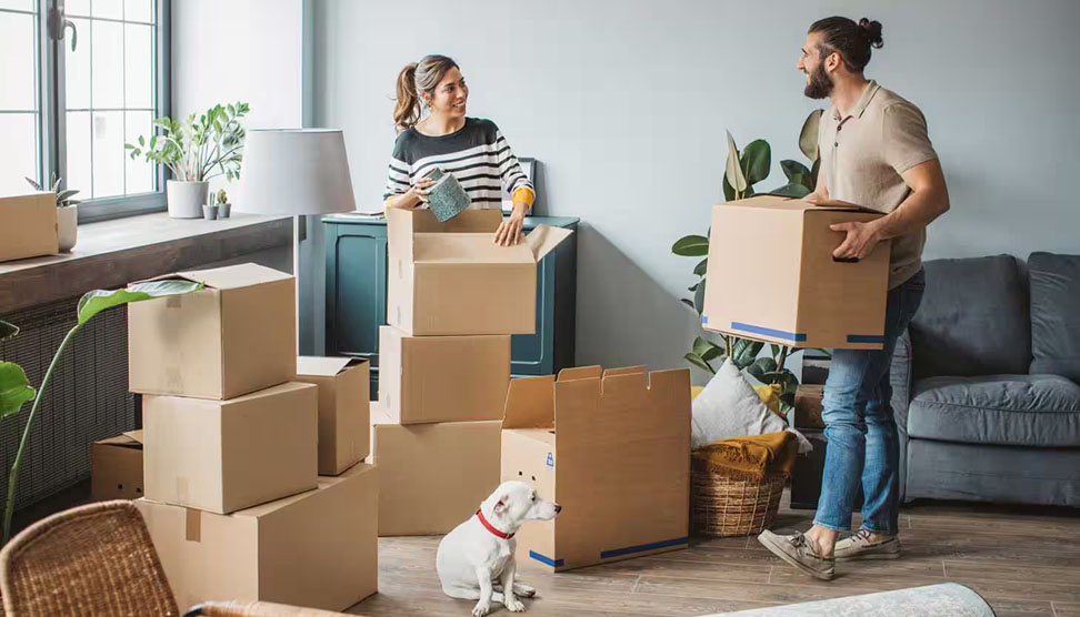 Neatly packed and labeled moving boxes in a well-organized room, with an essentials box ready for the move.